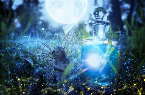 Image Of Magical Little Fairy Sitting In The Night Forest Stock Image