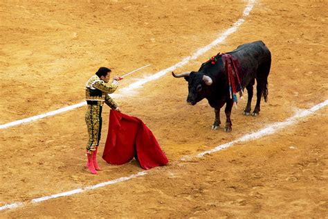 Corrida De Toros Spain Valencia Bullfighting Also Know Flickr