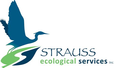 Straussecologicalservicesinc The Uprooter Remove Invasive Plants