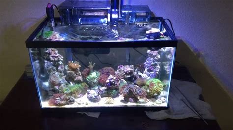 Photo 1 10 Gallon Nano Reef Tank Months Atelier Yuwaciaojp
