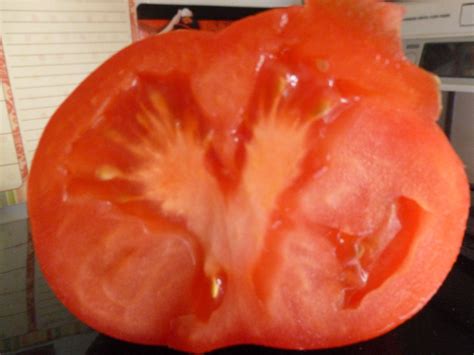 Inside Of Tomato Looks Like A Y Abc Letters Odd Stuff Alphabet
