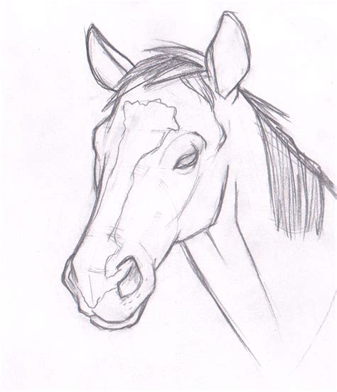 Horse Head By Chrisatherton On Deviantart