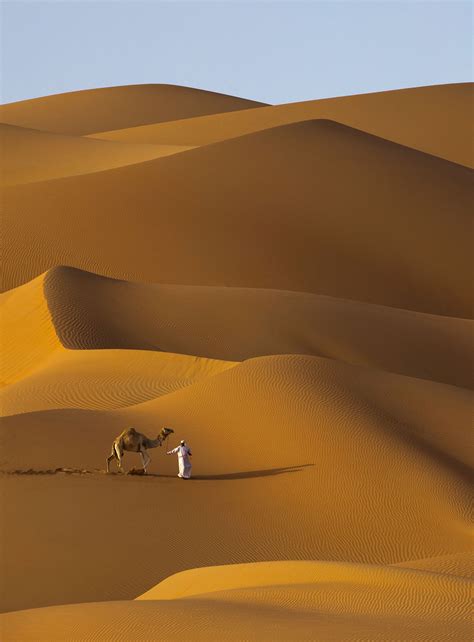 beauty of the desert dunes - taken in Liwa | Desert photography, Desert travel, Dubai desert ...