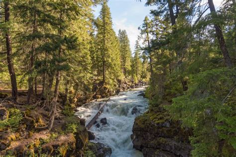 9 Beautiful Free Camping Spots In Oregon 2022