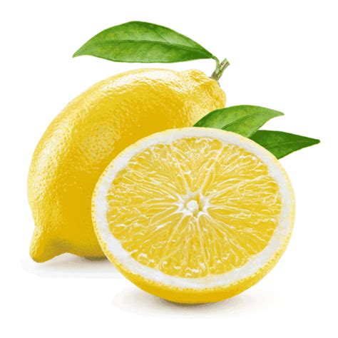 Familier (n.m.) 1.personne qui entretient des relations familières avec (d'autres personnes) ; Liste vocabulaire fruits - vocabulaire de l'alimentation ...