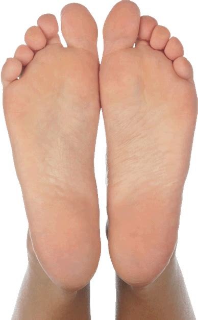 Feet Png 10 Free Cliparts Download Images On Clipground 2022