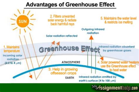 Advantages And Disadvantages Of The Greenhouse Effect Click Here