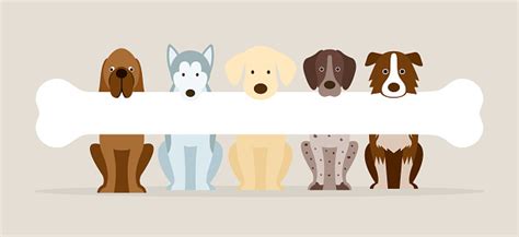 Group Of Dog Breeds Holding Bone Stock Illustration Download Image