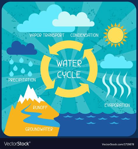 Water Cycle Infographic 208499 Vector Art At Vecteezy
