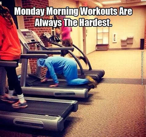 Going To The Gym On Monday Morning Very Funny Pics
