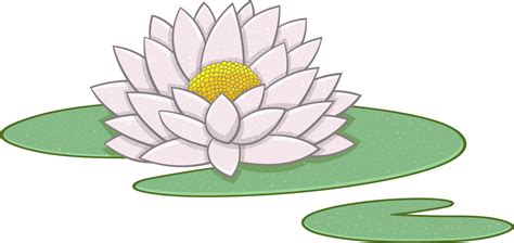 Water Lily Clipart 26749136 Png