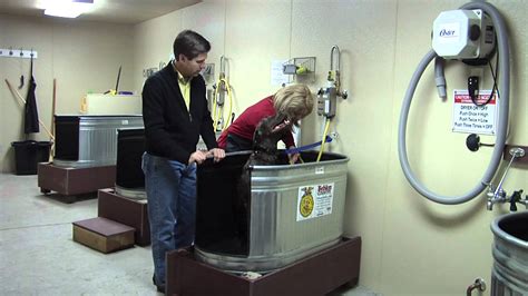 Increase profits with an all paws pet wash dog wash station! Self Serve Dog Wash @ Douglas Ranch Supply - YouTube