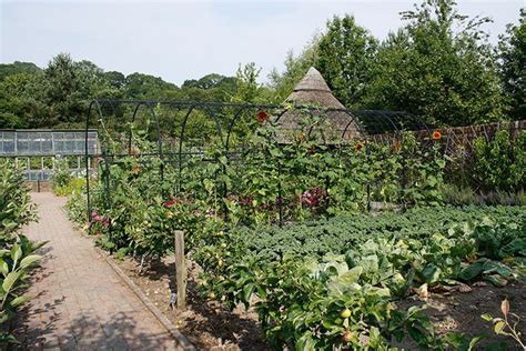 Fruit And Vegetable Garden Fruit Garden Design Edible Landscaping