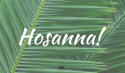Sunday Soaking Palm Sunday — Hosanna A Reason For Homeschool