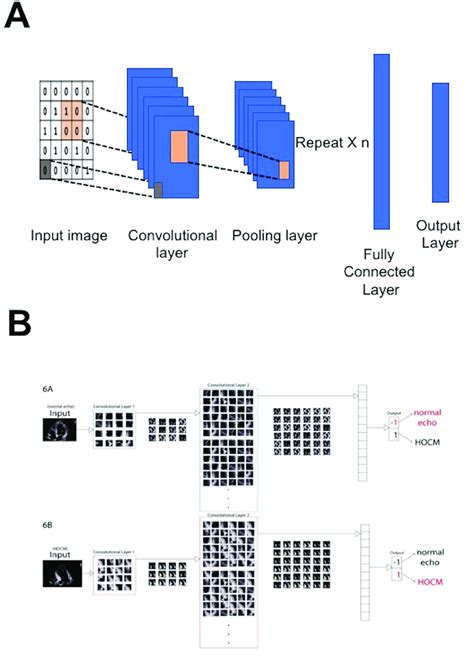 Convolutional Neural Networks Cnns A Cnn Algorithms Are A Feed