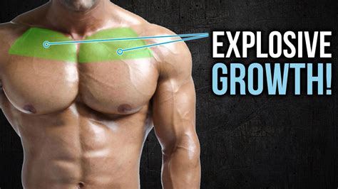 8 Tips With A Guide For Building A Bigger Broader Upper Chest