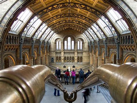 On Black Natural History Museum South Kensington London By