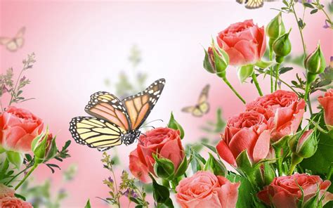 Flowers Background Butterfly Wallpapers Hd Desktop And Mobile