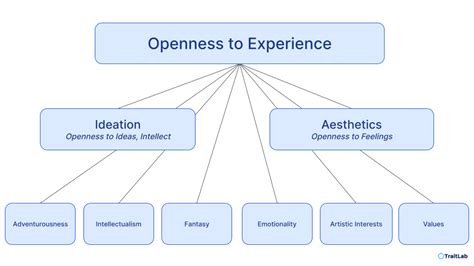 The Openness To Experience Personality Dimension