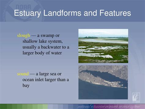Ppt Estuary Landforms And Features Powerpoint Presentation Free
