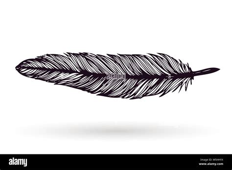 Hand Drawn Feather Isolated On White Background Artistic Ink Vector