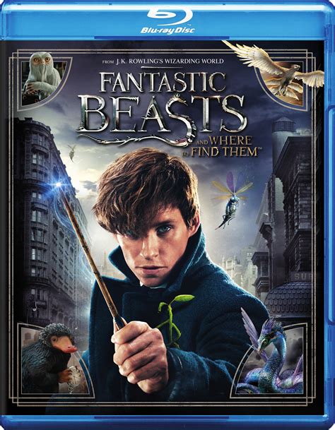 Shortly after, a voice asks, you've known for 24 hours that an unregistered wizard set magical beasts loose in new york? Fantastic Beasts and Where to Find Them Blu-ray [2016 ...