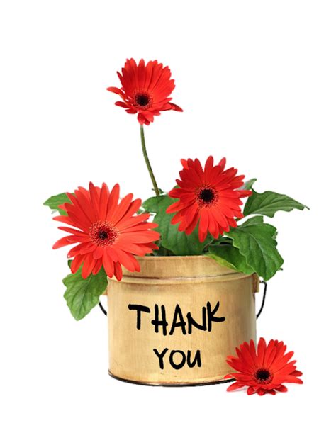 Thanks clipart greetings, Thanks greetings Transparent ...