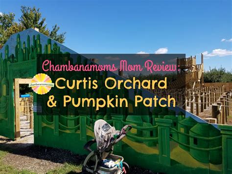6 e columbia avenue, champaign, il 61820. Mom Review: Curtis Orchard & Pumpkin Patch in Champaign ...