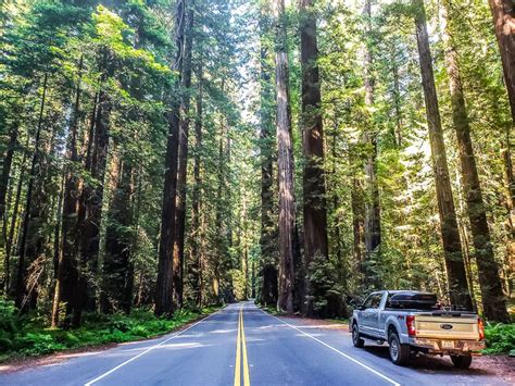 22 Of The Best Scenic Drives In The Usa Laptrinhx News