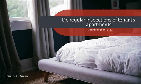 Landlords: Prevent Bedbugs in Your Properties | JDM Pest ...