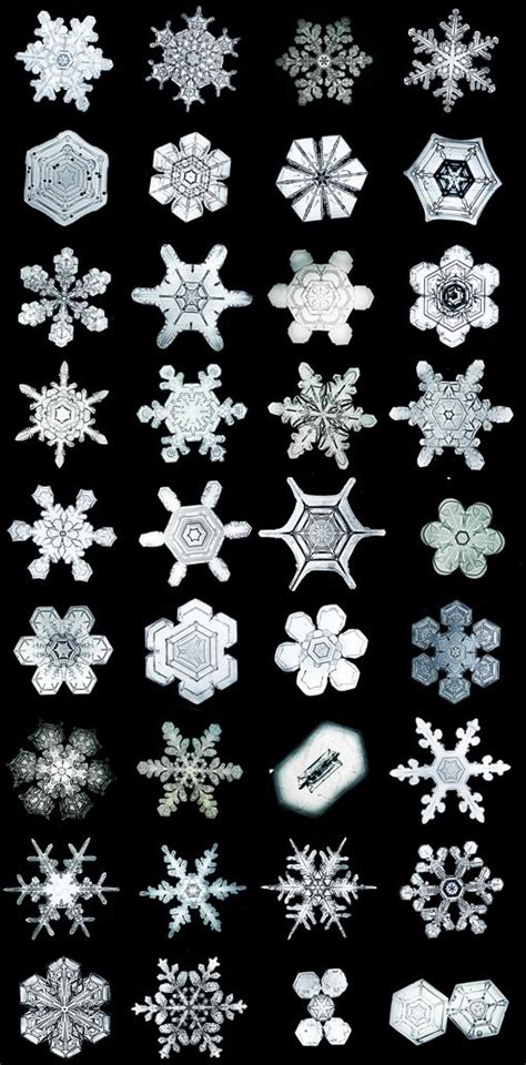 Crochet Snowflakes Paper Snowflakes Snowflake Pattern Real