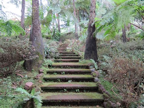 Free Photo Mystical Stairs Tropical Garden Free Image
