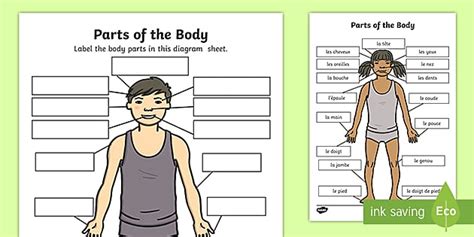 French Body Parts Lesson Parts Of The Body In French