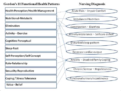 Diagram Of Gordons 11 Functional Health Patterns With Various Nursing