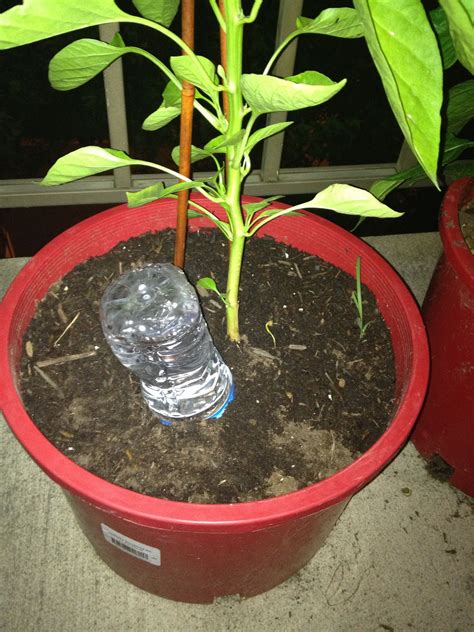 How To Make A Homemade Plant Watering System