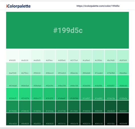 Pantone 16 6138 Tpx Kelly Green Color Hex Color Code 199d5c