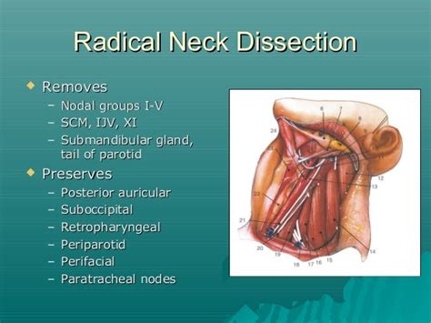 Neck Dissection Slides 060920