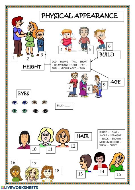 Physical Appearance Interactive Worksheet English Activities