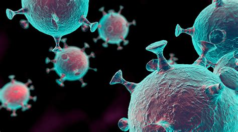 Influenza Virus Under Microscope Micropedia