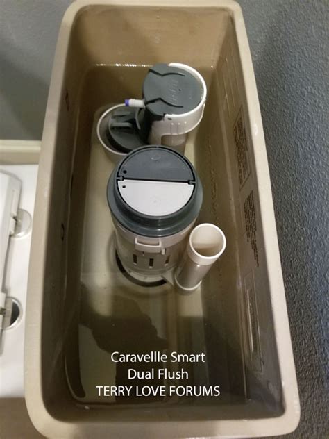 Caroma Caravelle Smart Dual Flush 989900 One Piece Toilet Terry Love