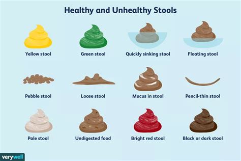 This Poop Chart Identifies Different Types Of Poop And What They Mean