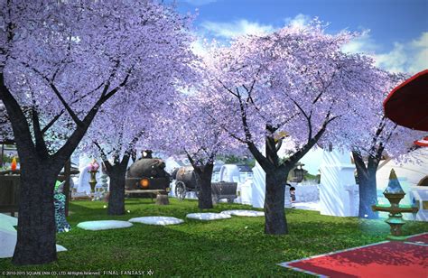 Cherry Blossoms 日記「あら、お久しぶりじゃないの」 Final Fantasy Xiv The Lodestone