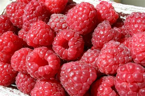 Raspberry Dessert Fruit · Free Photo On Pixabay