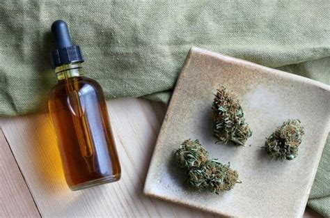 How To Make Your Own Cannabis Tinctures Mission Cannabis Club