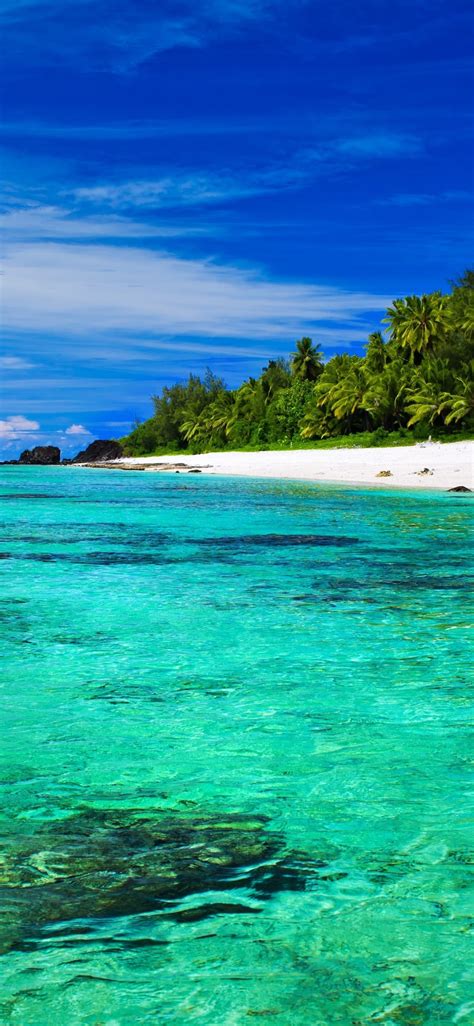 蓝色的大海，沙滩，棕榈树，天空，热带 1125x2436 Iphone 11 Proxsx 壁纸，图片，背景，照片