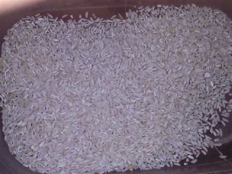 Pakistan Irri 6 Long Grain White Rice 5 Broken Silky Polished And