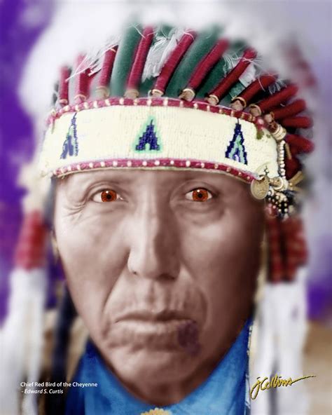 Chief Red Bird Of The Cheyenne Tribe Mixed Media By James Collins