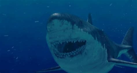 Megalodon Alive Shark Week Programs Claim The Monster Shark Possibly