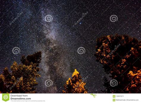 Milky Way Night Sky View With Illuminated Trees In Crater Lake N Stock