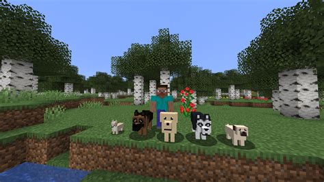 More Dogs Forge 1144 Minecraft Mod